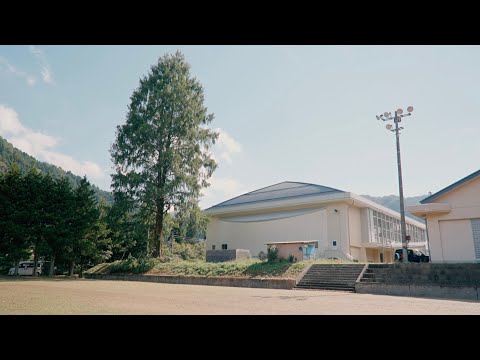 根羽学園のメタセコイアの木