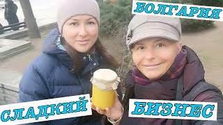 vlog Адаптация в Болгарии. Как зарабатывать деньги в Болгарии