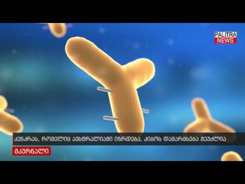 კენკრას, რომელიც ავსტრალიაში იზრდება, კიბოს დამარცხება შეუძლია