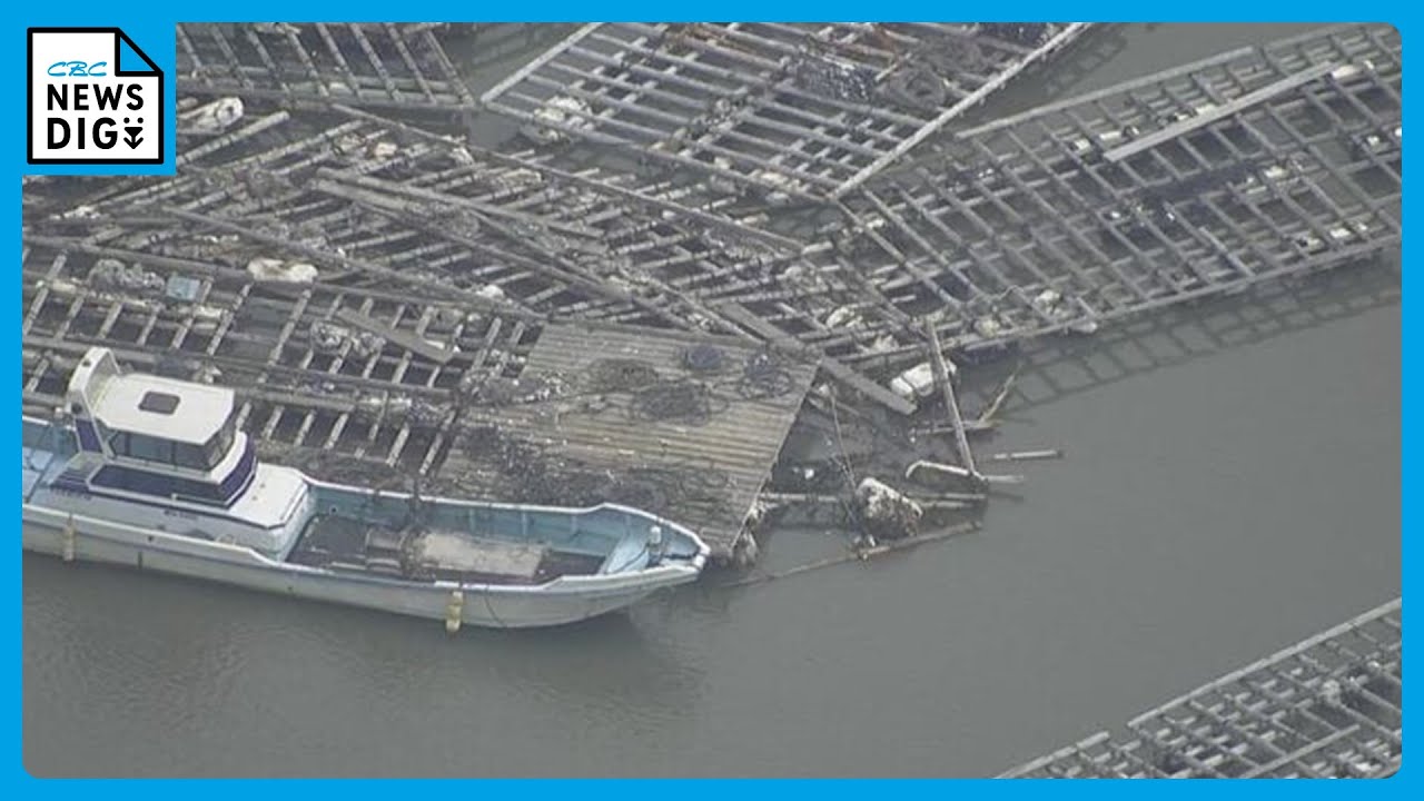 Oyster farming rafts swept away by a tsunami of up to 40