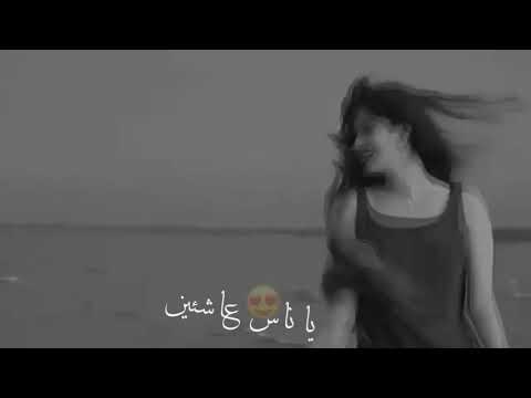 حالات واتساب نانسي عجرم الدنيا حلوه 