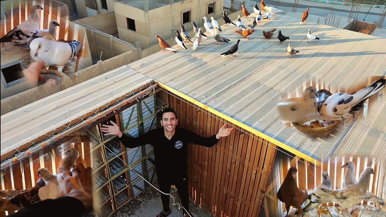 قطفت كل الزغاليل من تحت الاهالي 🥳وشوف حمام النش عمل اي؟!!