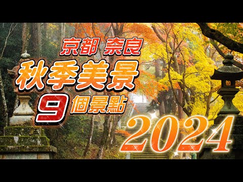 【絕美秋色！2024秋季日本關西紅葉不可錯過的9個景點】秋季關西地區紅葉，銀杏，高原，溪谷景點分享｜京都，奈良，兵庫縣的秋季景點分享｜觀光客較少的紅葉景點｜個人收藏的秋季關西景點分享