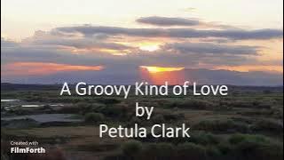 Petula Clark - A Groovy Kind of Love
