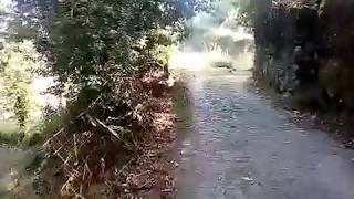 Visit Portugal Braga