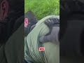 Man Spits On Officers While Getting Arrested For His 7th DUI