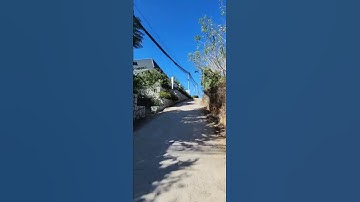 1000m2 300m2 đất ở 8,5 tỉ Xuân Thọ, Đà Lạt p923351. 0917446533 #shorts