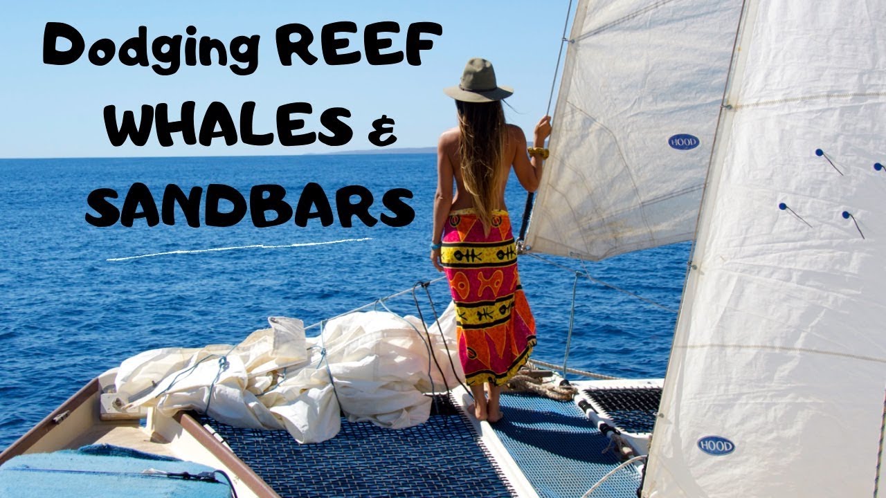 Dodging Reef Whales & Sand Bars – SAILING TANGAROA