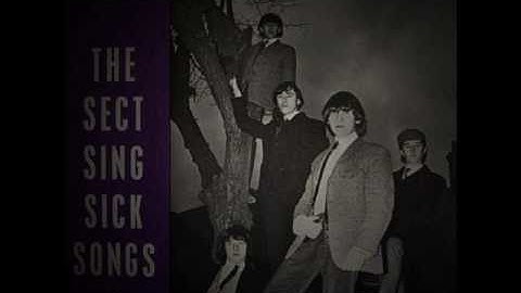 Downliner Sect - I want my Baby back