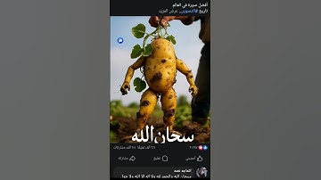 🌿 خشوع مع القرآن للقرآن الكريم في الطبيعة الخلابة 🌻  #خشوع #قرآن_كريم #طبيعة_جميلة #هدوء_وسكينة"
