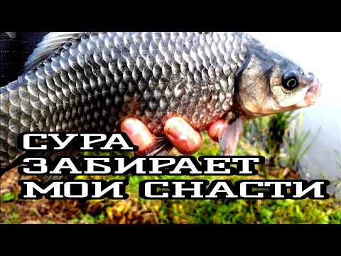 РЫБАЛКА НА ПОПЛАВОК.