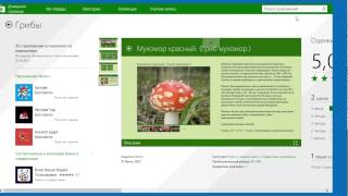 Грибы screenshot 3