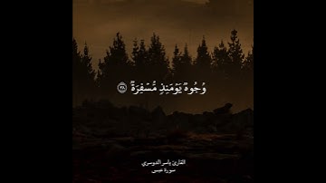 (فَإِذَا جَاءَتِ الصَّاخَّةُ) تلاوة مؤثرة من سورة عبس ياسر الدوسري