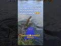 #2026 #humour #comedy #funny #funnyshorts #comedyshorts