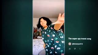 The Travel Song Super Spies