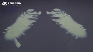 Three-axis Dynamic CO2 laser marking machine MC350-DH-D