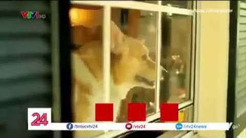 VTV nói gì về cải cách "Công nghệ giáo dục" Tròn, Vuông, Tam Giác