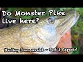 Do monster pike live here? Part 3 Repeats!