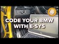How to find, set up, and use ESYS TO CODE YOUR BMW - F82 demo car (including the PIN/TOKEN!)
