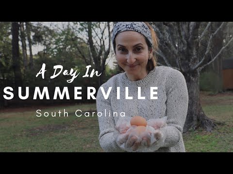 Things to do in Summerville, SC