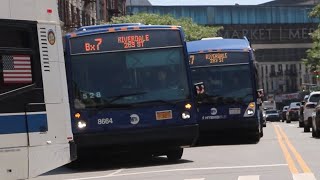 2019 Novabus LFS #8664 / 2021 Novabus LFS HEV #9664 on the Bx7 at Broadway and 181st Street