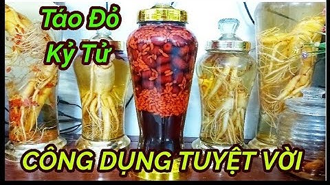 Cách Ngâm Rượu Táo Đỏ Kỷ Tử - Công Dụng tuyệt vời cho sức khỏe Nam giới và Phụ Nữ || ÂTTT