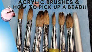 Let&#39;s Talk Acrylic Nail Brushes | Liquid to Powder Ratio-How to pick up Nail Beads!