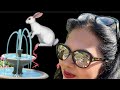 Real Issue 😰; Fixing Cut Wires by Rabbits 🐇 for Water 💦 Fountain ⛲️! Please Like, Share & Subscribe