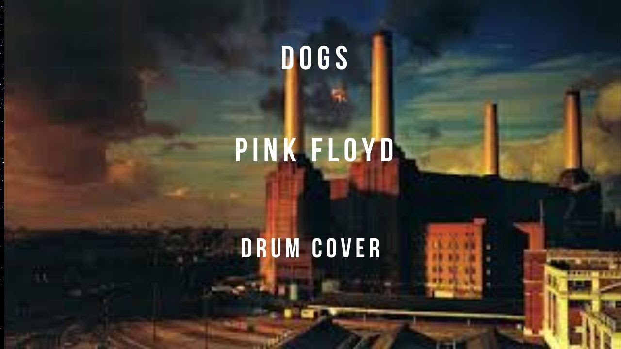 Dogs Pink Floyd (Drum Cover) YouTube