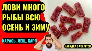 видео: Насадка для рыбалки на КАРАСЯ, КАРПА, ЛЕЩА. Насадка которая привлекает рыбу, даже в холодной воде. картинка: Насадка для рыбалки на КАРАСЯ, КАРПА, ЛЕЩА. Насадка которая привлекает рыбу, даже в холодной воде.