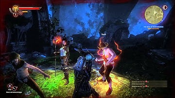 The Witcher Defeat Bandits in Garden of Roses of Remembrance