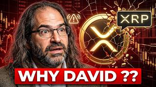 XRP NEWS TODAY: Ripple XRP WTH did David just say !! 🚨