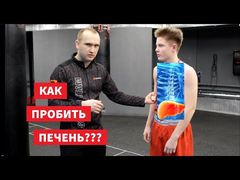 Как пробить печень? Болевые точки на теле и НОКАУТ