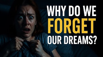 Why Do We Forget Our Dreams?