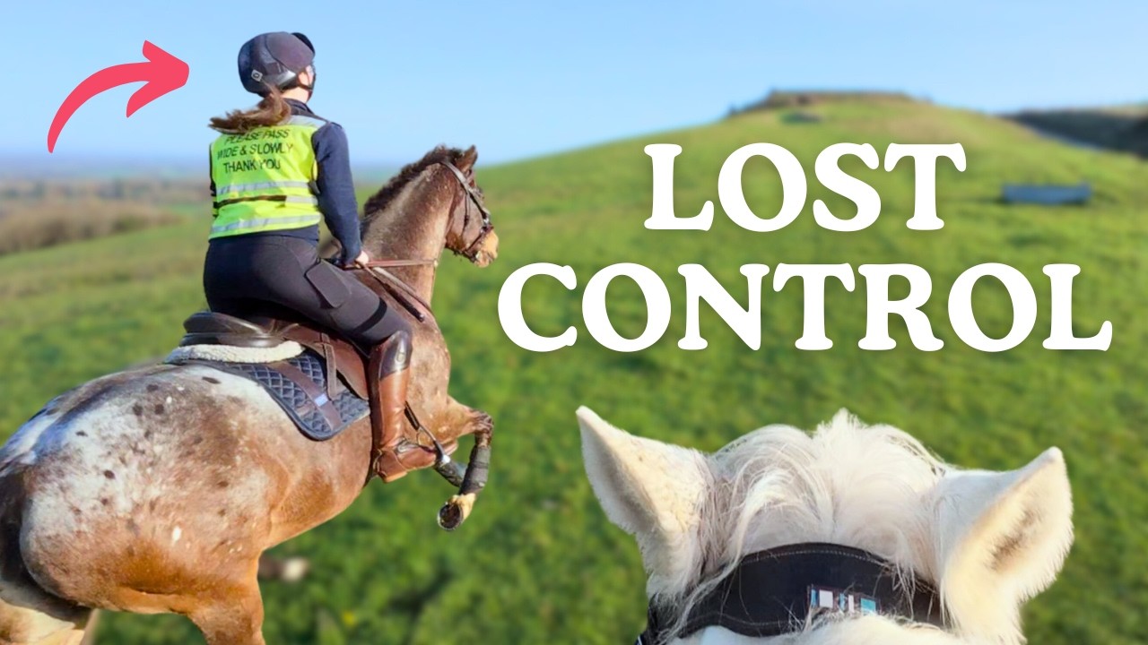 Скачки на лошади и галоп — GoPro — POV — Так быстро! Эта Эсме