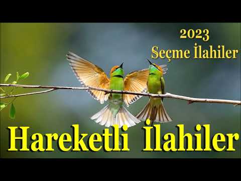 ✨🔸Hareketli Coşkulu İlahiler🔸2023 yılının en çok dinlenen ilahileri 🔸✨