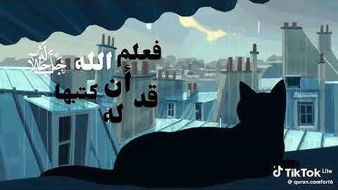 #القرآن_الكريم #اللهم_صل_وسلم_على_نبينا_محمد #اكسبلور #تلاوة_خاشعة #راحة_نفسية 