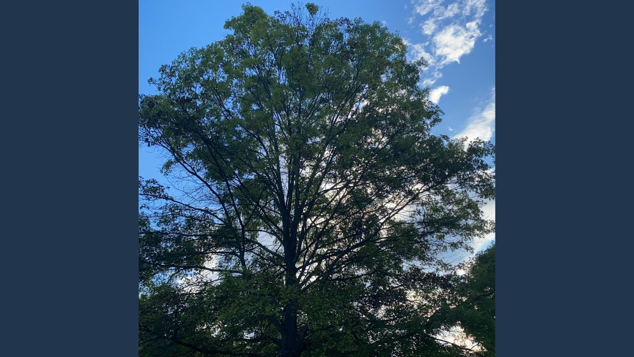 Tonton Arcade Tokens di YouTube Tonton Arcade Tokens di YouTube