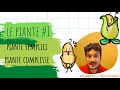 Le piante 1 piante semplici e complesse lezione di scienze per classe quarta scuola primaria