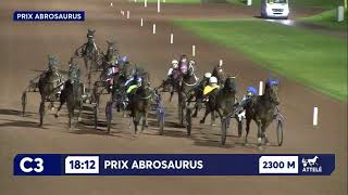 Vidéo de la course PMU PRIX ABROSAURUS
