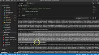 Laboratorio 7 Cifrado de Informacion ElGamal utilizando librerias de Python