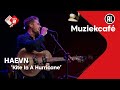 HAEVN - Kite in a Hurricane | NPO Radio 2