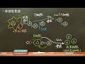 おうち生物 36 . 適応免疫(獲得免疫)