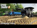 Harvesting wheat with MrsTheCamPeR | Animals on Gemeinde Rade | Farming Simulator 19 | Episode 1