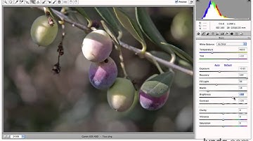 Photoshop CS5 Tutorials-6 Camera Raw Essentials 3.Tour
