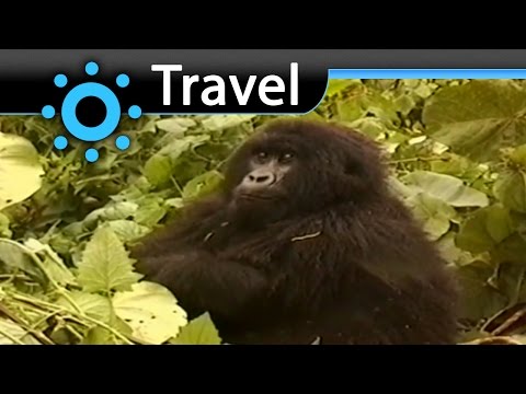 Video: Virunga National Park: The Complete Guide