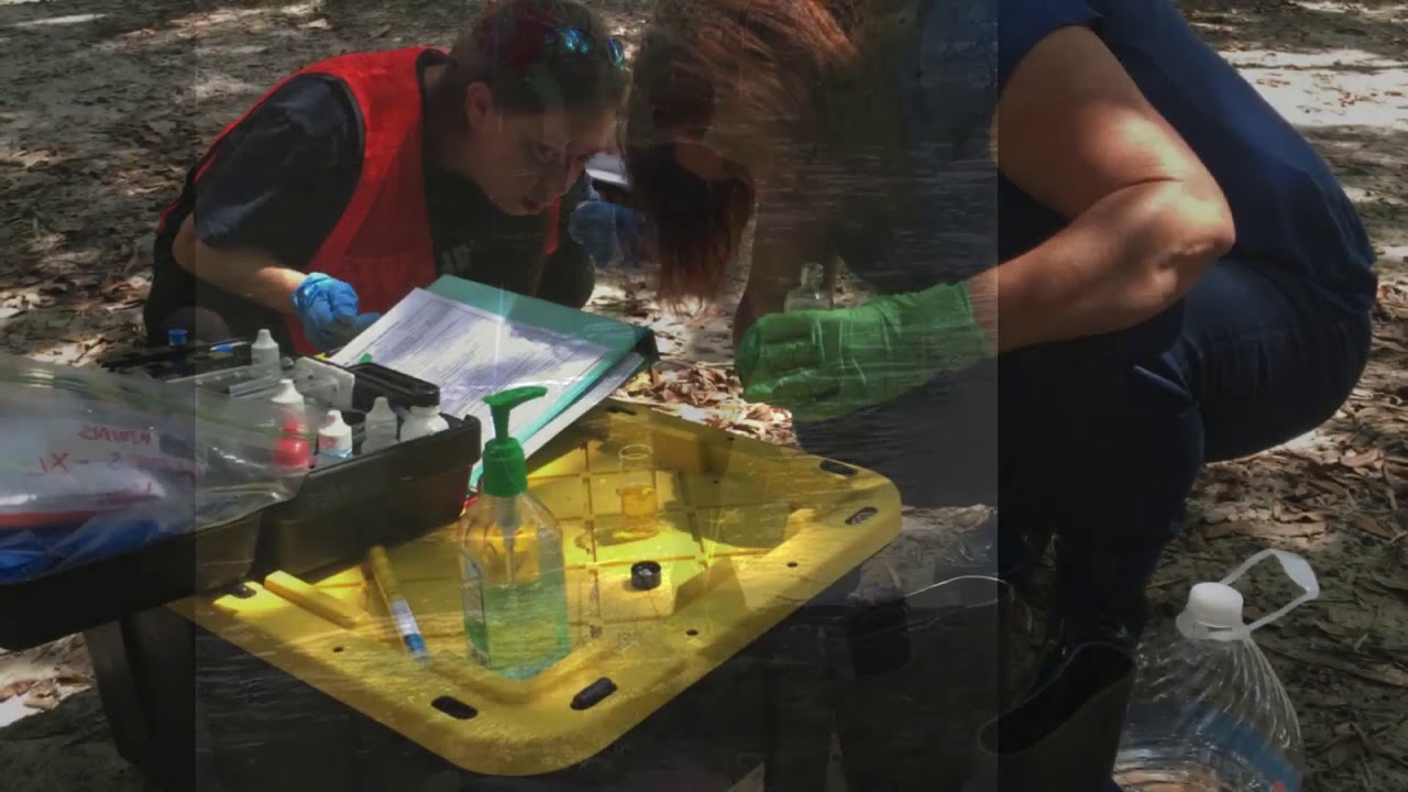 Thanks to GA-AAS for Volunteer of the Year! --WWALS 2020-08-29