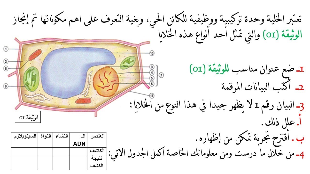 اختبار الفصل الثاني في العلوم الطبيعية للسنة الثانية ثانوي