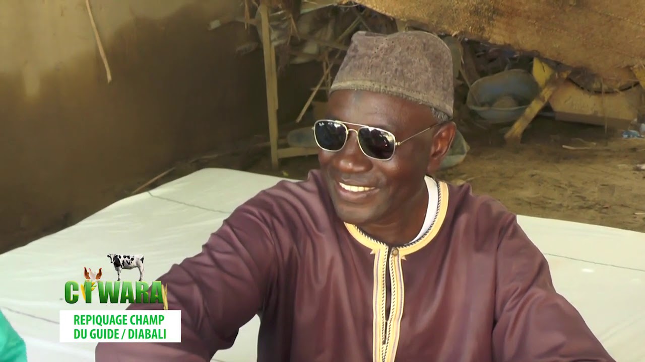 CIWARA RIPIQUAGE CHAMP DU GUIDE DIABALI