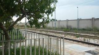 Transito FRECCIABIANCA 9822